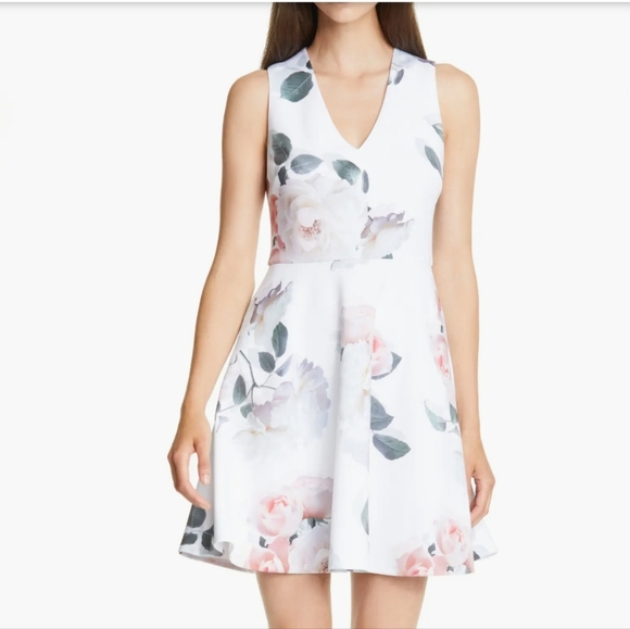 🍒NWT🍒 TED BAKER FEMININE FLORAL PRINT DRESS - Picture 1 of 6